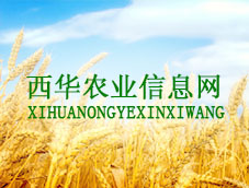 ���A�r�I��